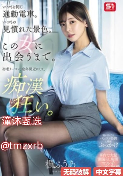 亚洲v天堂v手机在线メイリン モデルコレクション メ一区二区三区门高清在线观看